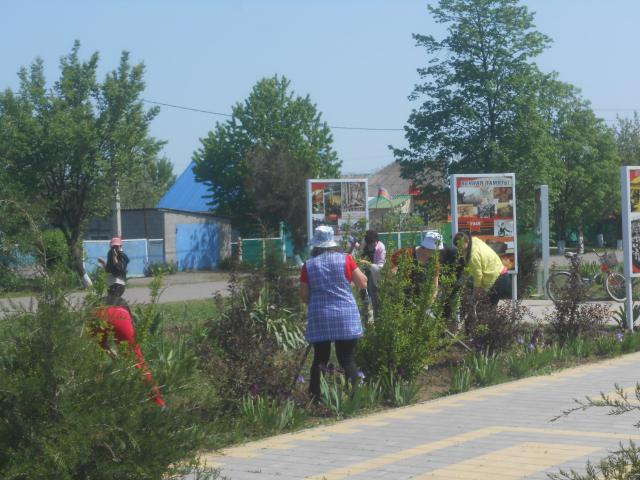 DSCN6080