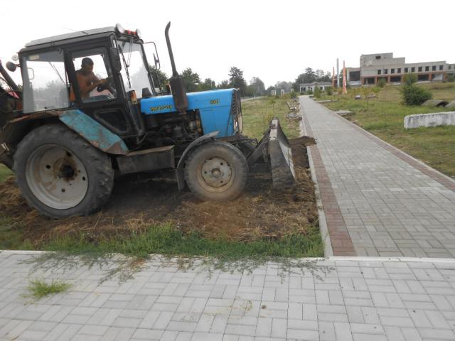 DSCN6540